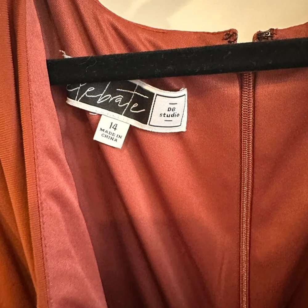 Elegant Burnt Sienna Long Sleeve Ruched Formal Gown- Size 14 - Picture 4 of 6